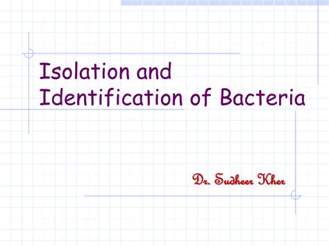 (PDF) ISOLATION AND IDENTIFICATION OF .